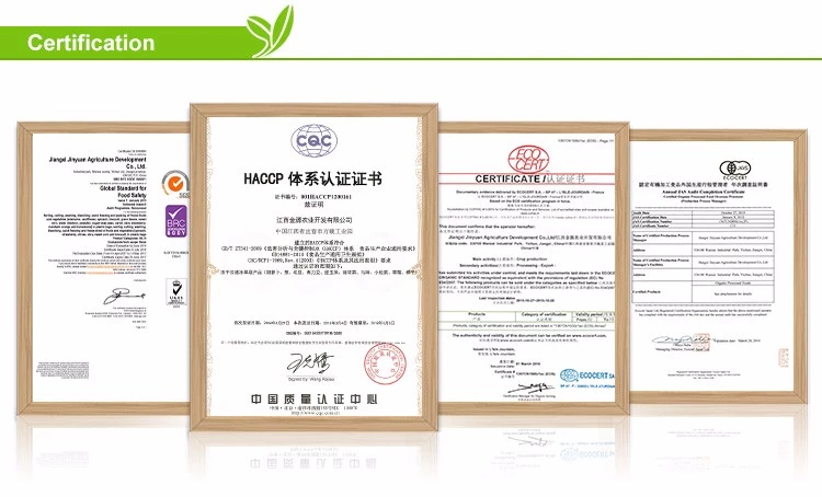 product-750-454 Wholesale IQF Frozen Blueberry Price For Dubai