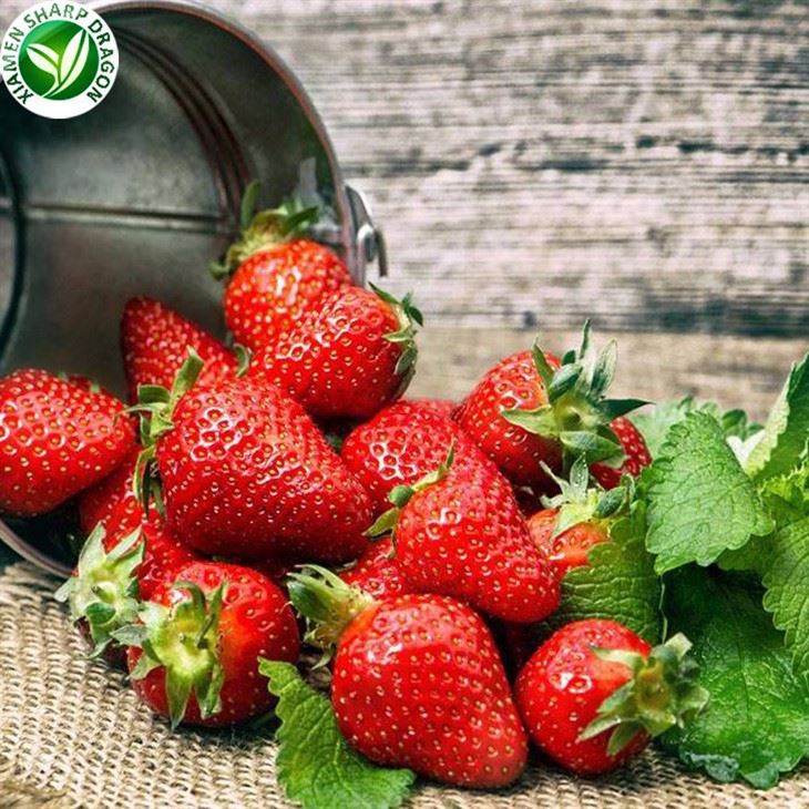 frozen strawberry
