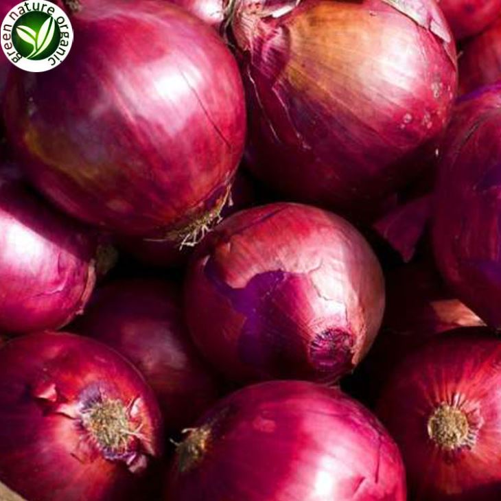 Red Onions Benefits